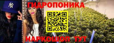 спиды Ликино-Дулёво