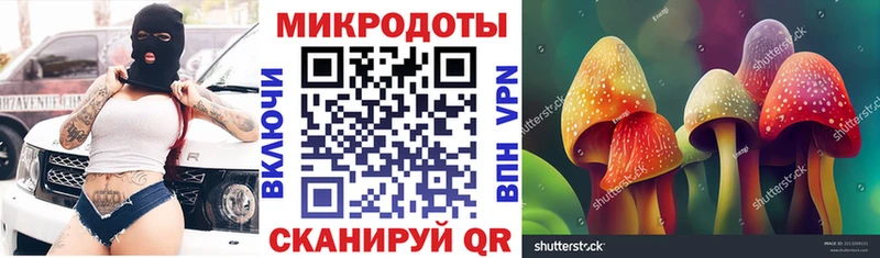 Псилоцибиновые грибы Cubensis  Кингисепп 