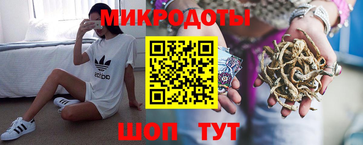 Кингисепп  Псилоцибиновые грибы GOLDEN TEACHER  Вход с VPN  цены наркотик  Псилоцибиновые грибы GOLDEN TEACHER 